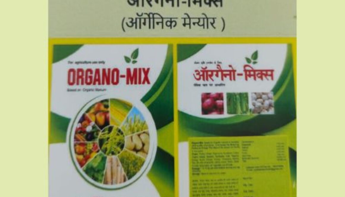 Untitled design (10)