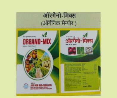 Untitled design (10)