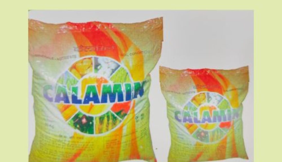 Untitled design (12)