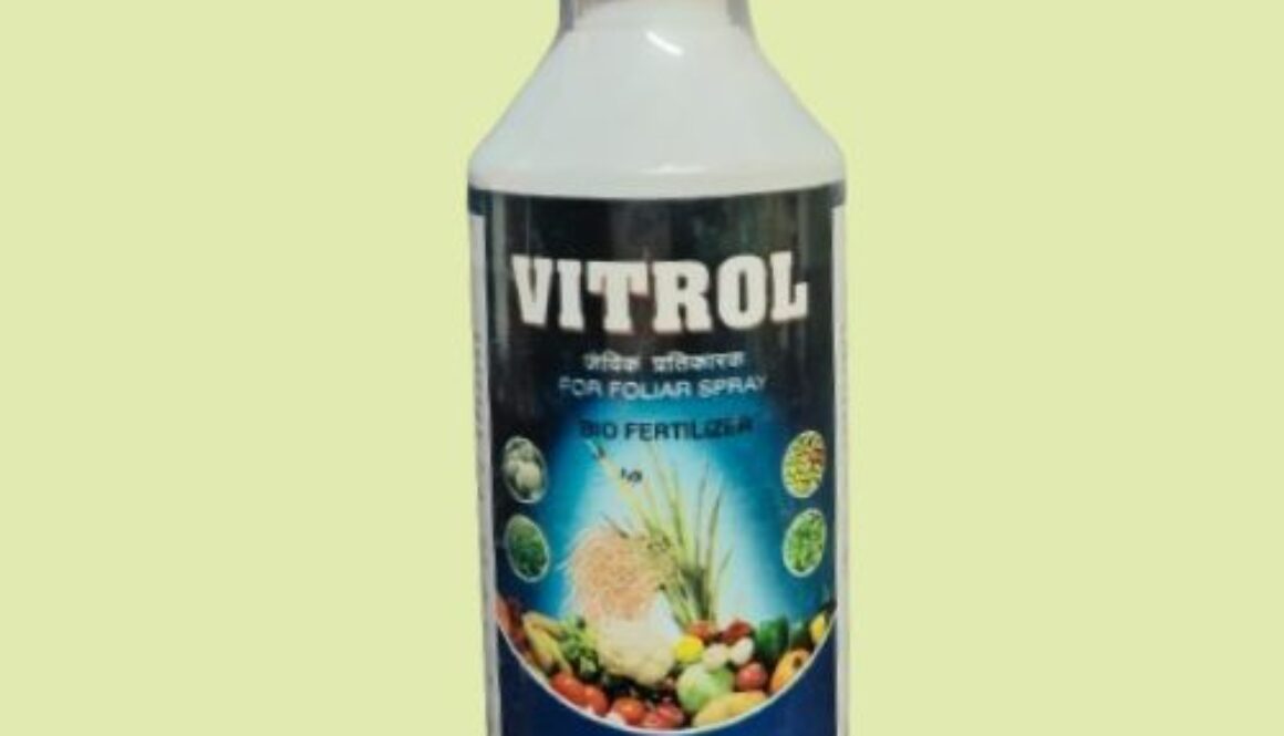 WhatsApp Image 2024-01-22 at 15.17.13