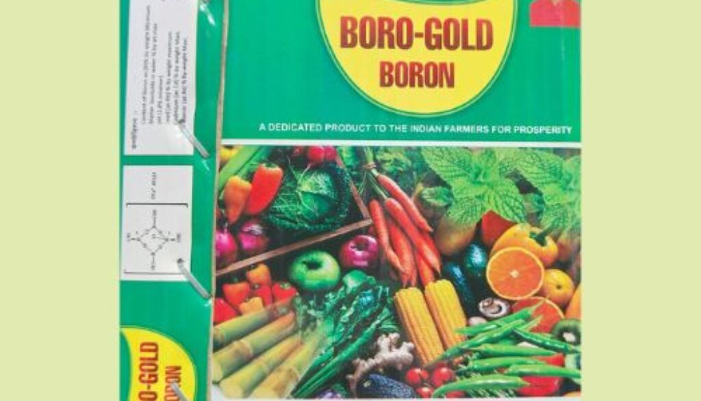 WhatsApp Image 2024-01-22 at 15.20.57