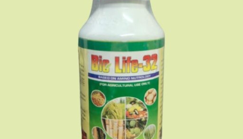 WhatsApp Image 2024-01-22 at 15.34.14