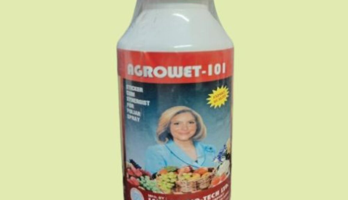 WhatsApp Image 2024-01-22 at 15.39.15