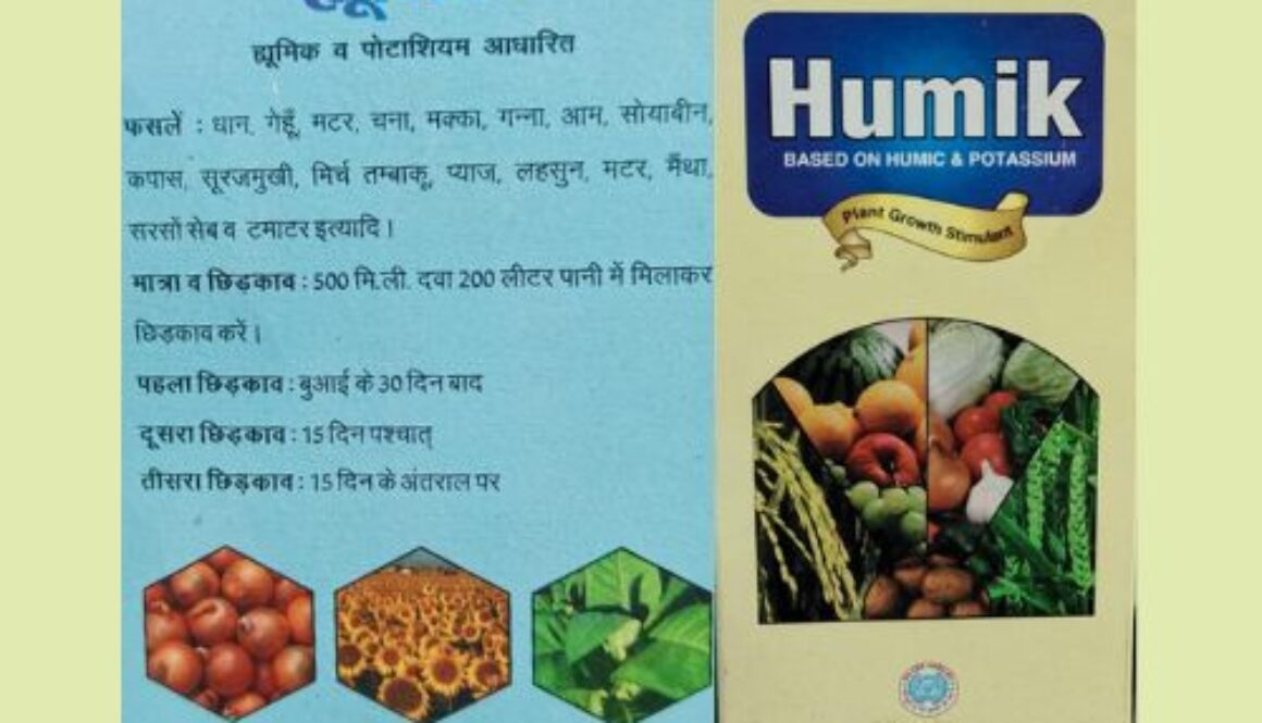 WhatsApp Image 2024-01-22 at 15.49.04